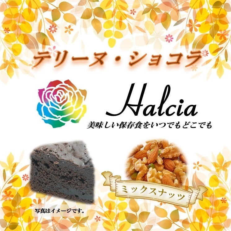 【日本製】Halcia 法式巧克力蛋糕罐 220114-01