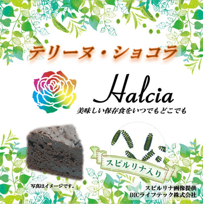 【日本製】Halcia 法式巧克力蛋糕罐 220114-01