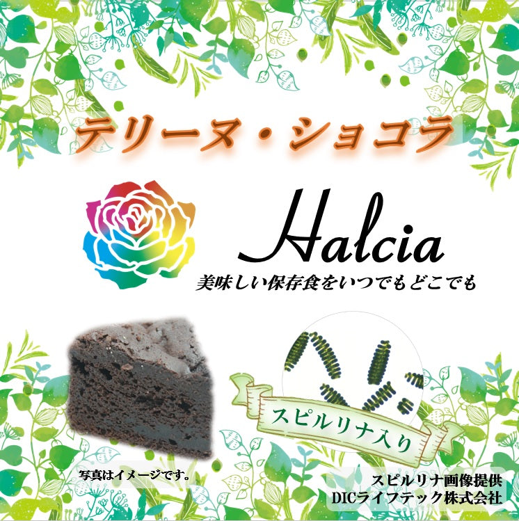 Halcia Canned Terrine Chocolate 220114-01