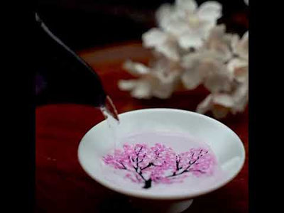 【MARUMO TAKAGI】 Japan Four Seasons Color-Changing Magic Sake Cup - Pair Set 220114-03
